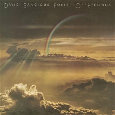 David Sancious -  Forest of Feelings